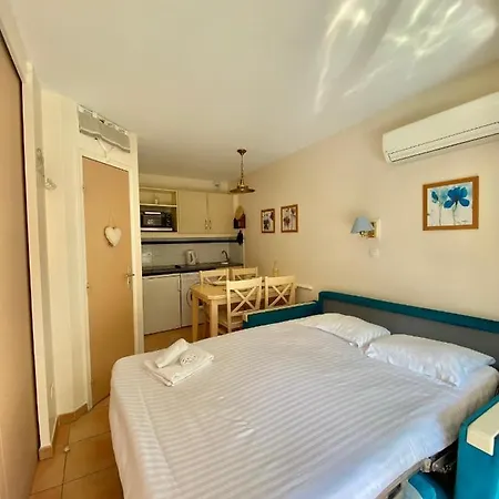 Joli 2 Pieces Vue Jardin 50m Parking Clim Мантон